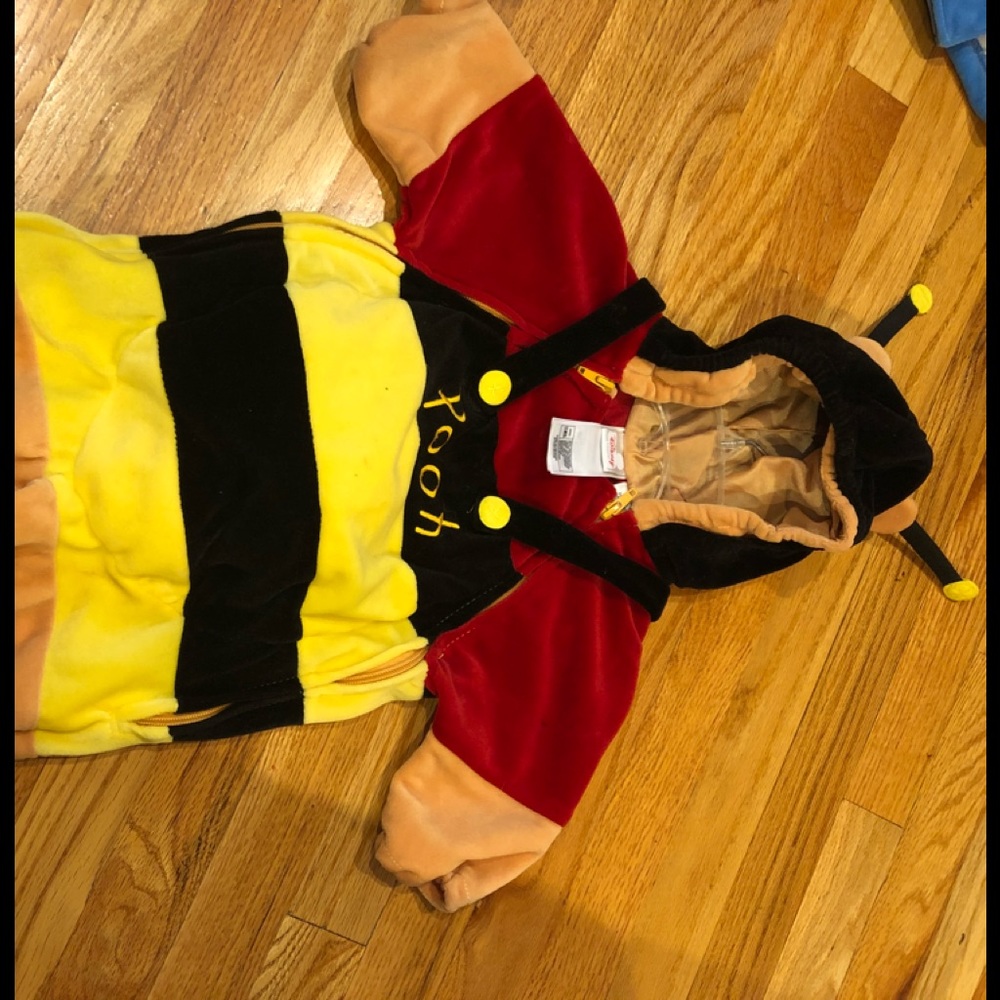 DISNEY STORE BABY WINNIE POOH COSTUME